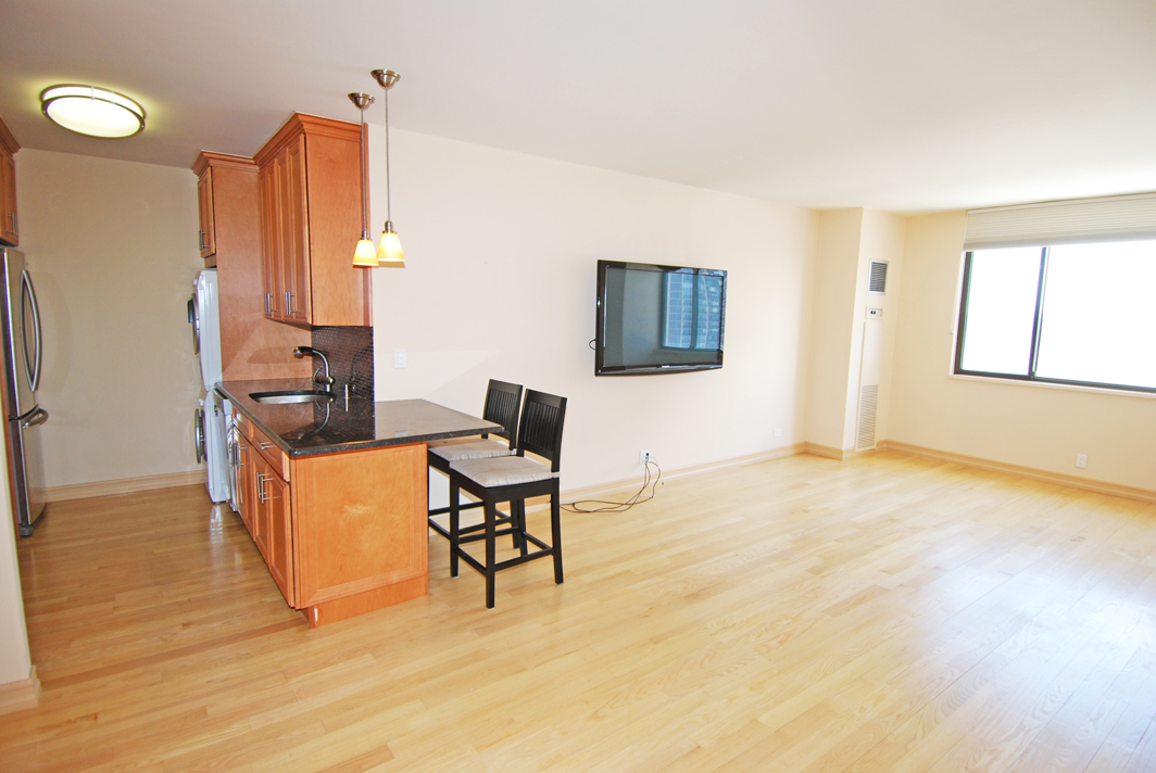 North Shore Towers 1 bedroom apt.