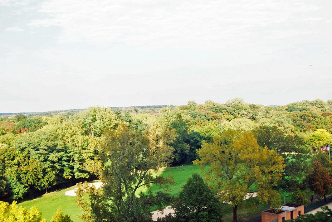 North Shore Towers 1 bedroom apt.