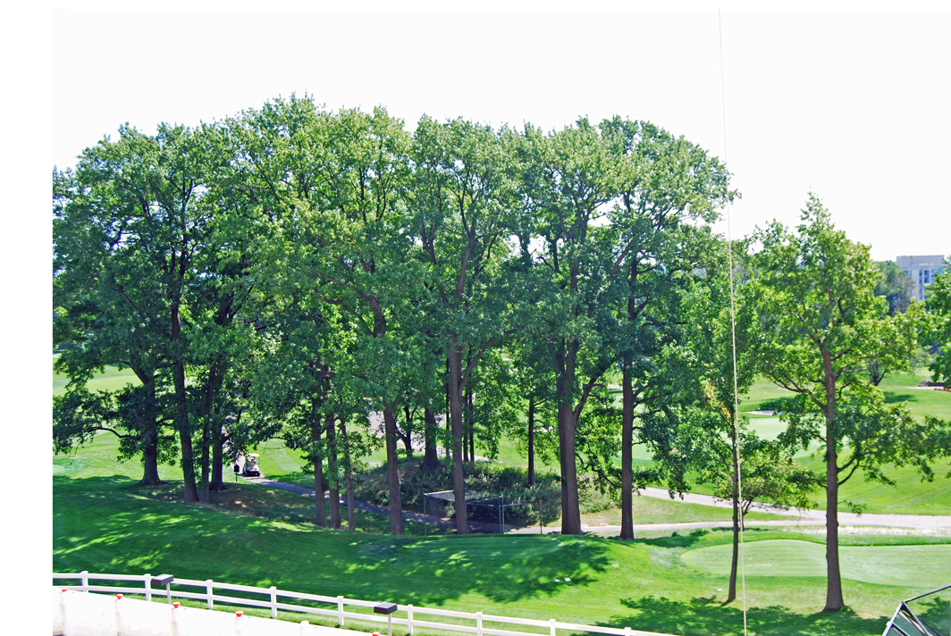 North Shore Towers Apt.