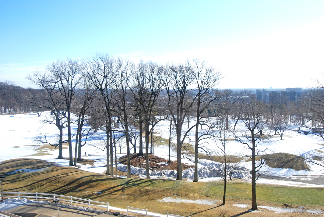 North Shore Towers Apt.