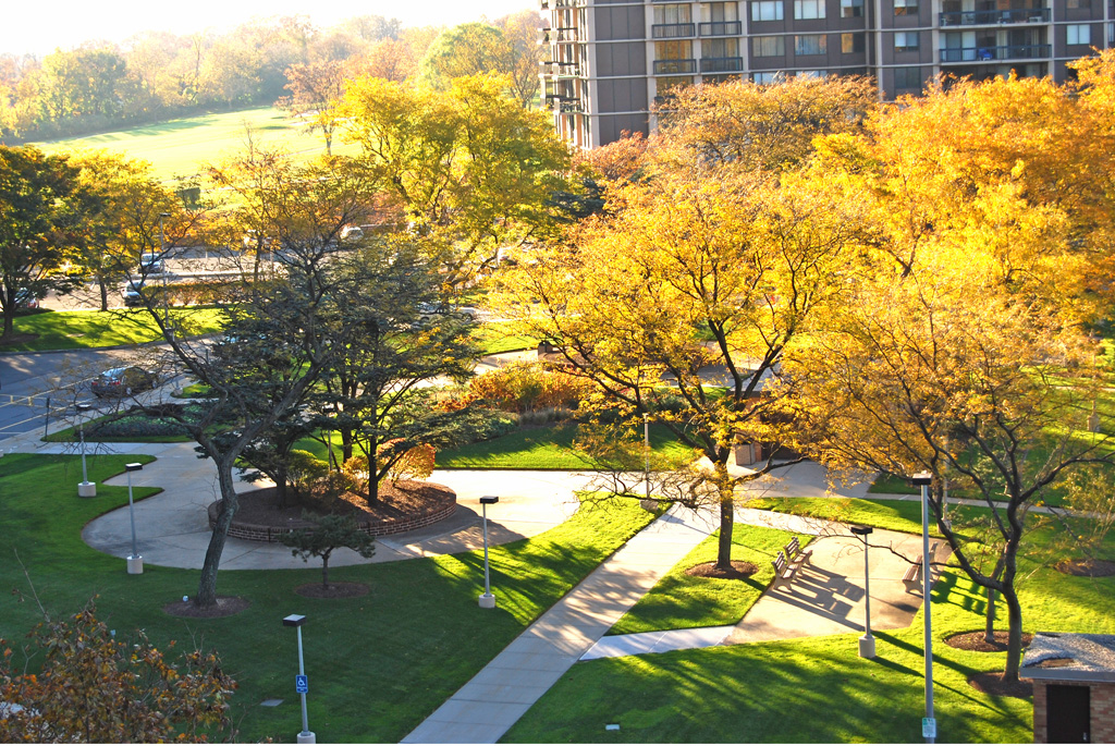 North Shore Towers Apt.