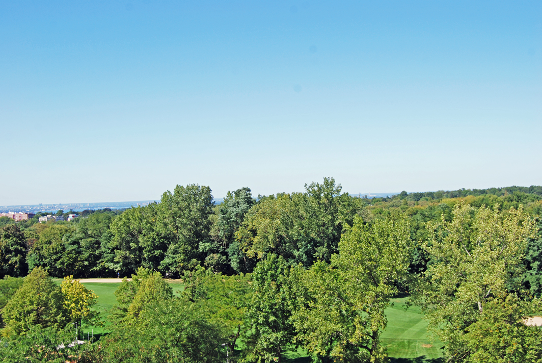 North Shore Towers Apt.