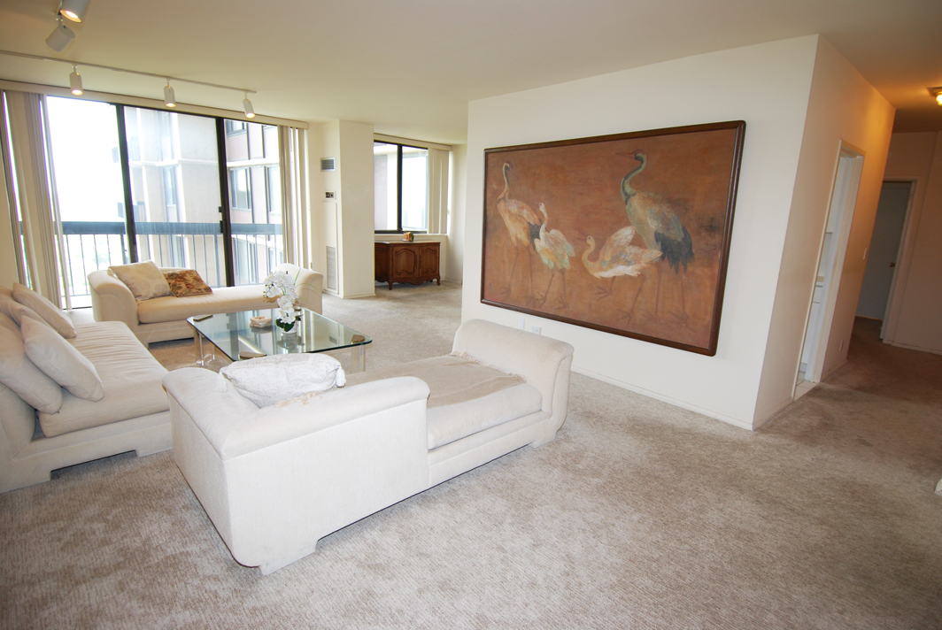 North Shore Towers Apt. 