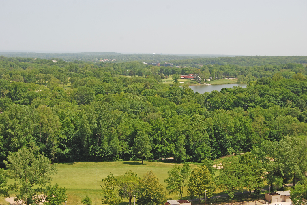 North Shore Towers Apt.