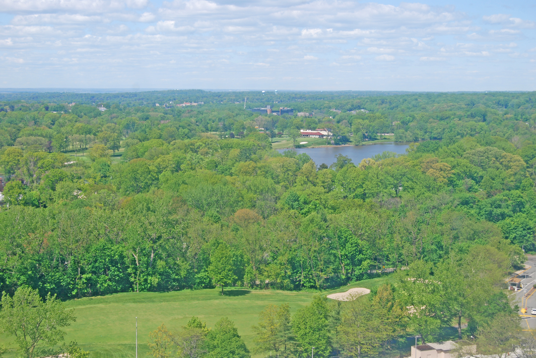 North Shore Towers Apt.