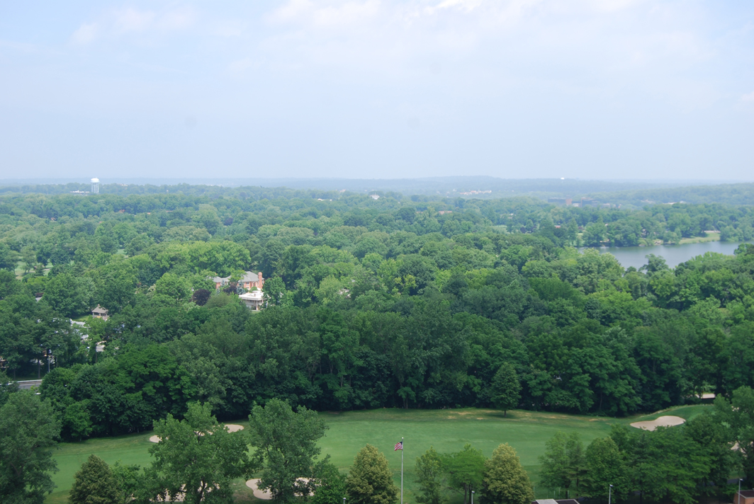 North Shore Towers Apt.