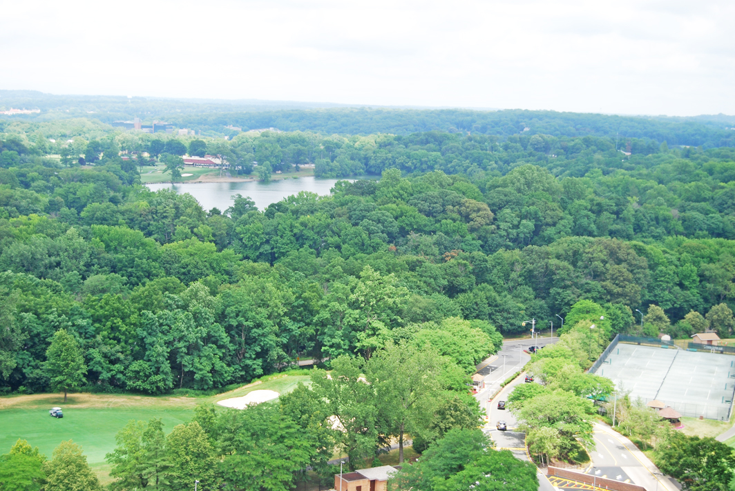 North Shore Towers Apt.