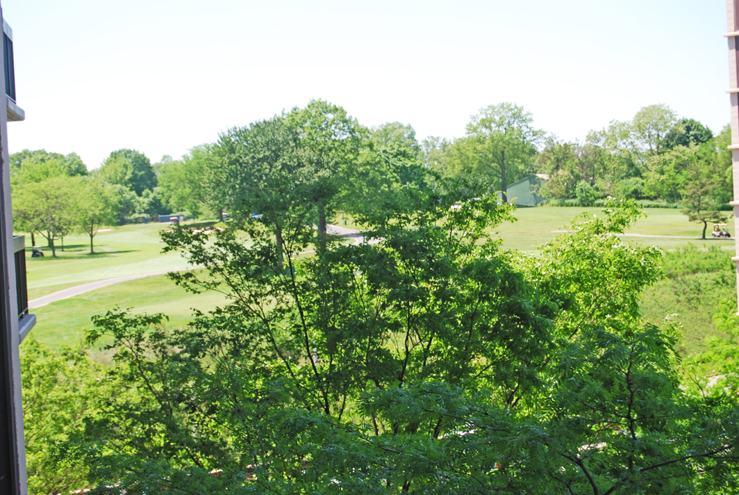 North Shore Towers Apt.