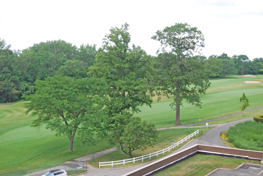 North Shore Towers Apt.