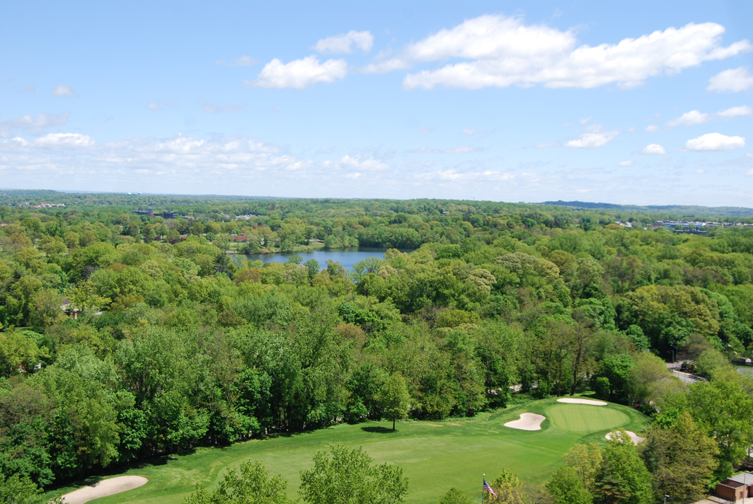 North Shore Towers Apt.