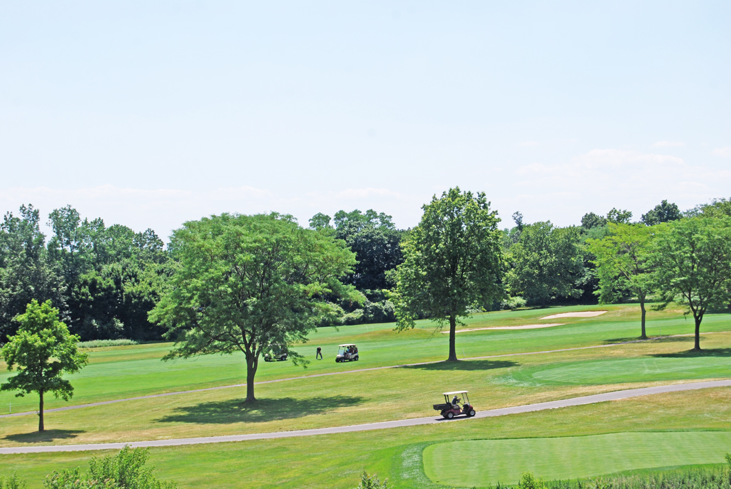 North Shore Towers Apt.