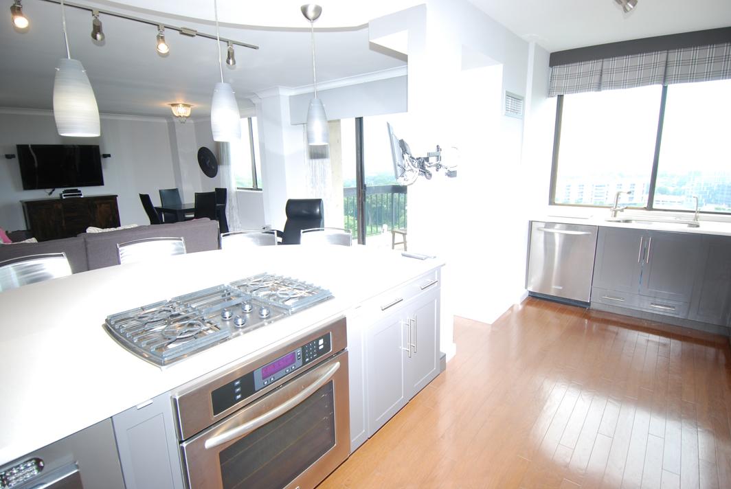 North Shore Towers Apartment