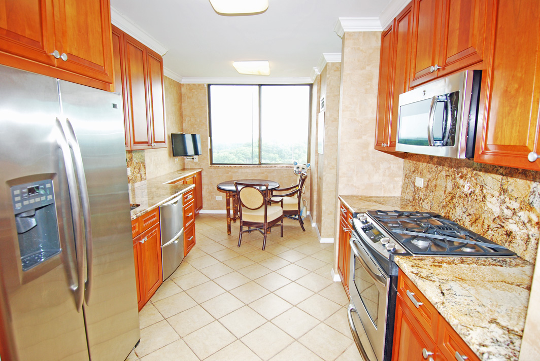 North Shore Towers Apartment