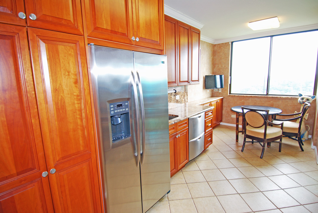 North Shore Towers Apartment