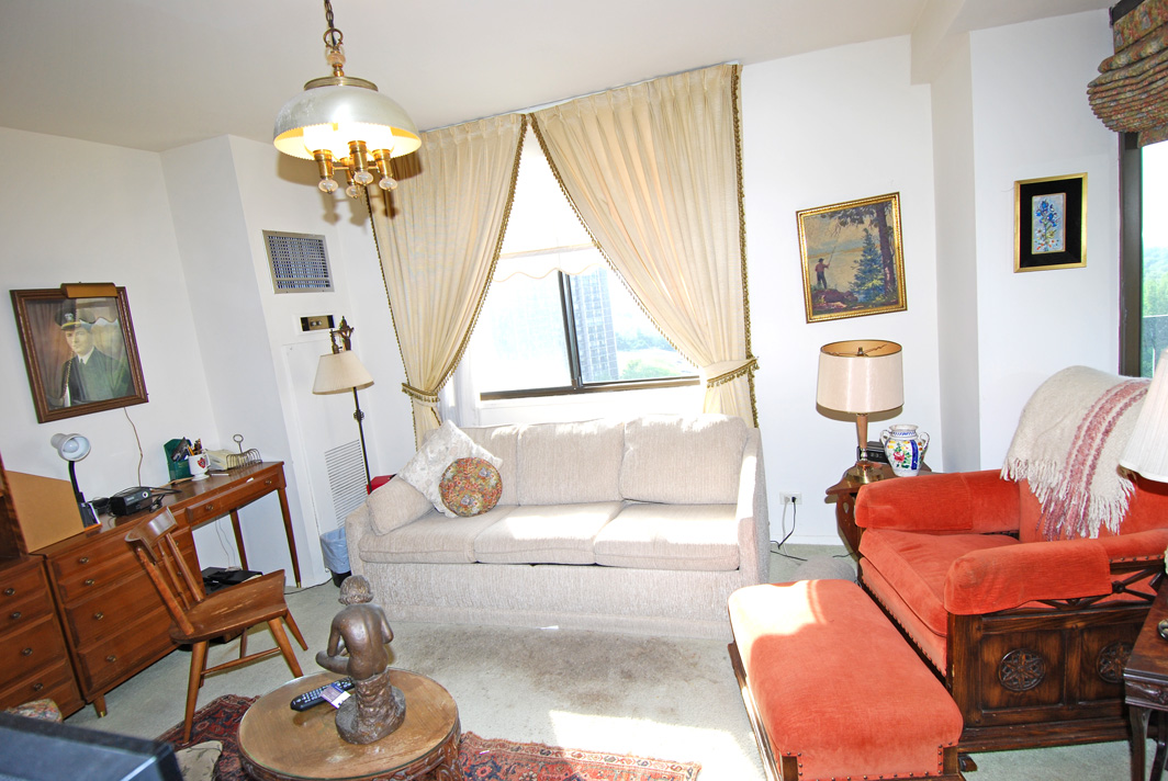 North Shore Towers Apartment