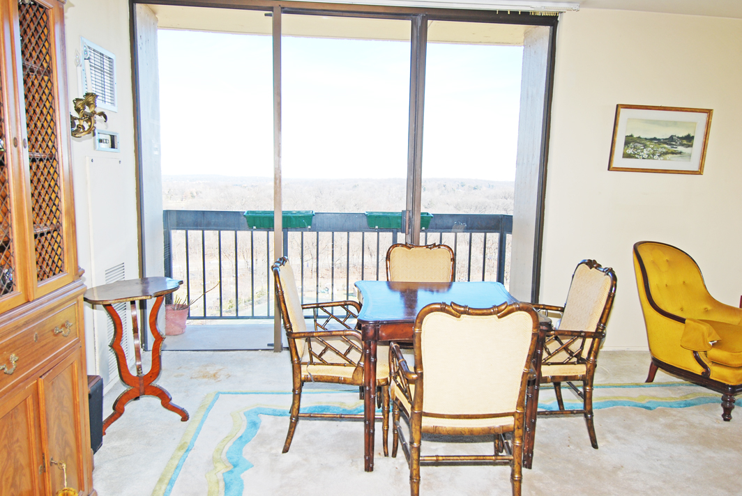 North Shore Towers Apartment