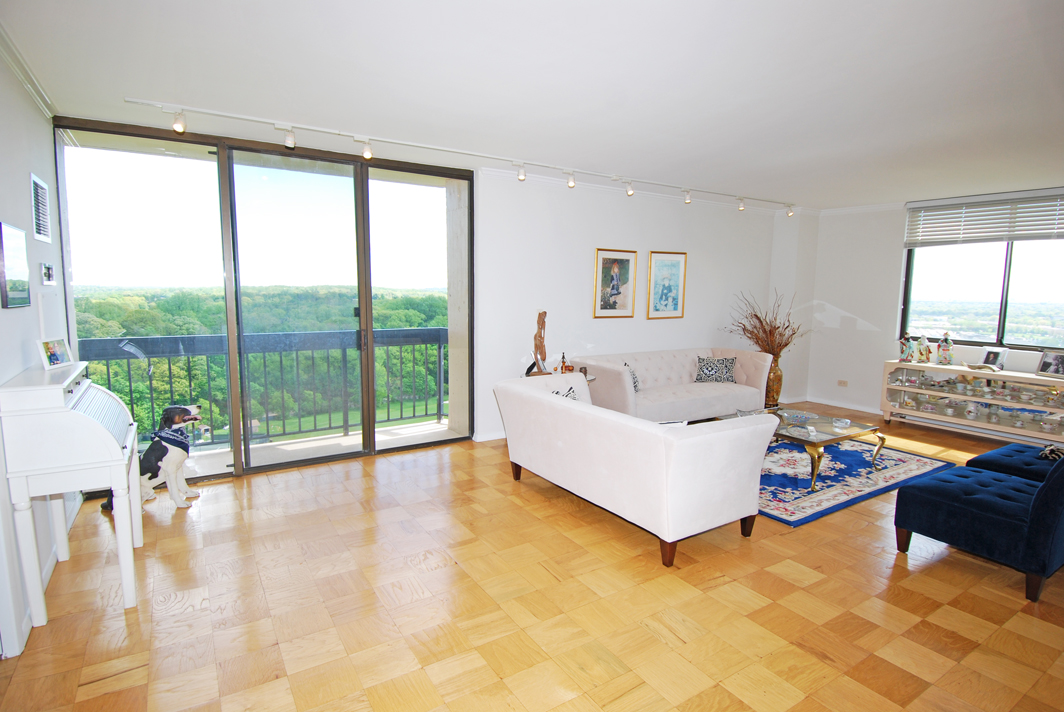 North Shore Towers Apartment