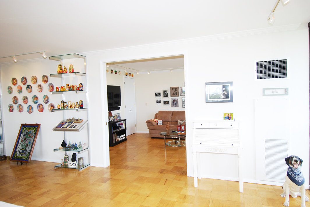 North Shore Towers Apartment