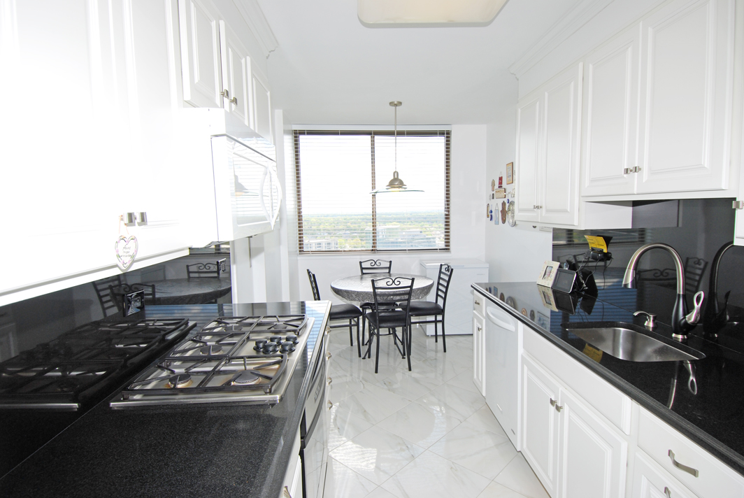 North Shore Towers Apartment