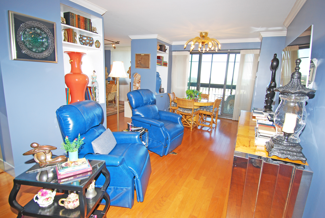 North Shore Towers Apartment