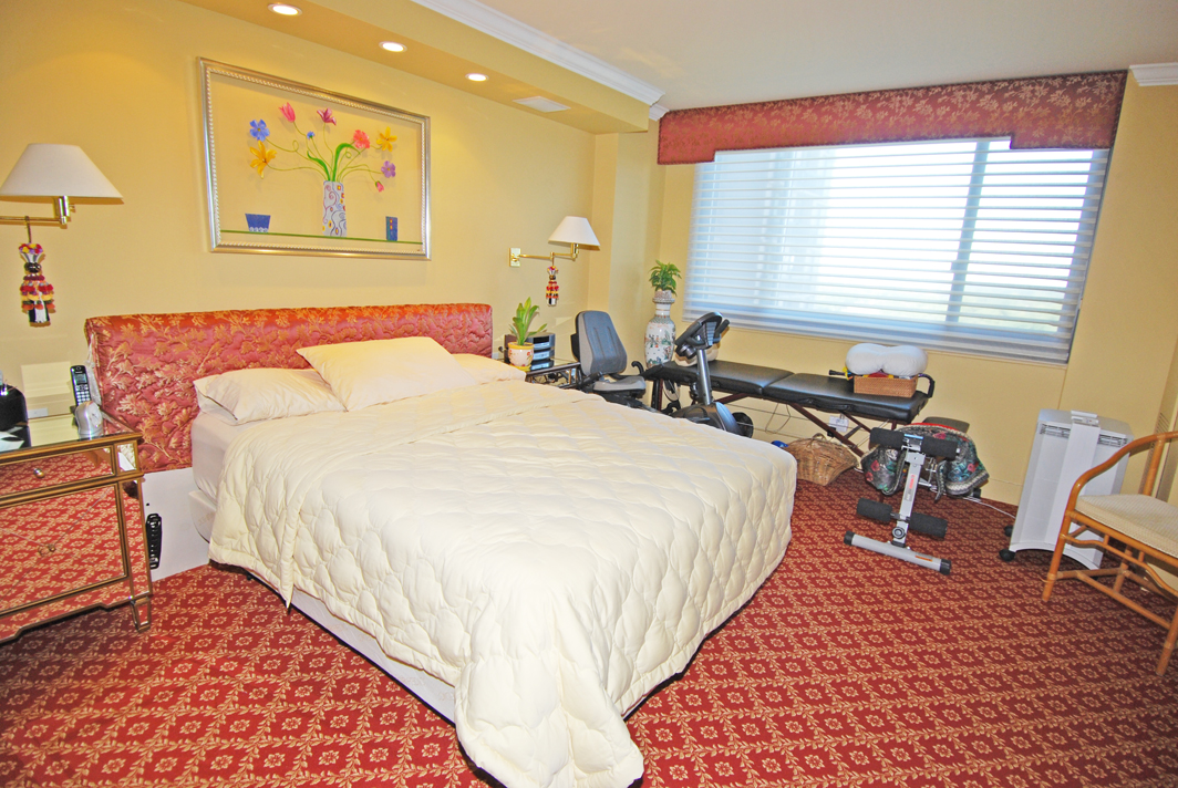 North Shore Towers Apartment