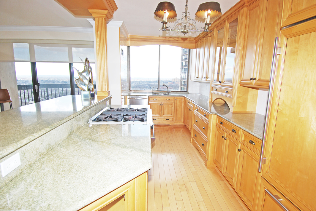 North Shore Towers Apartment