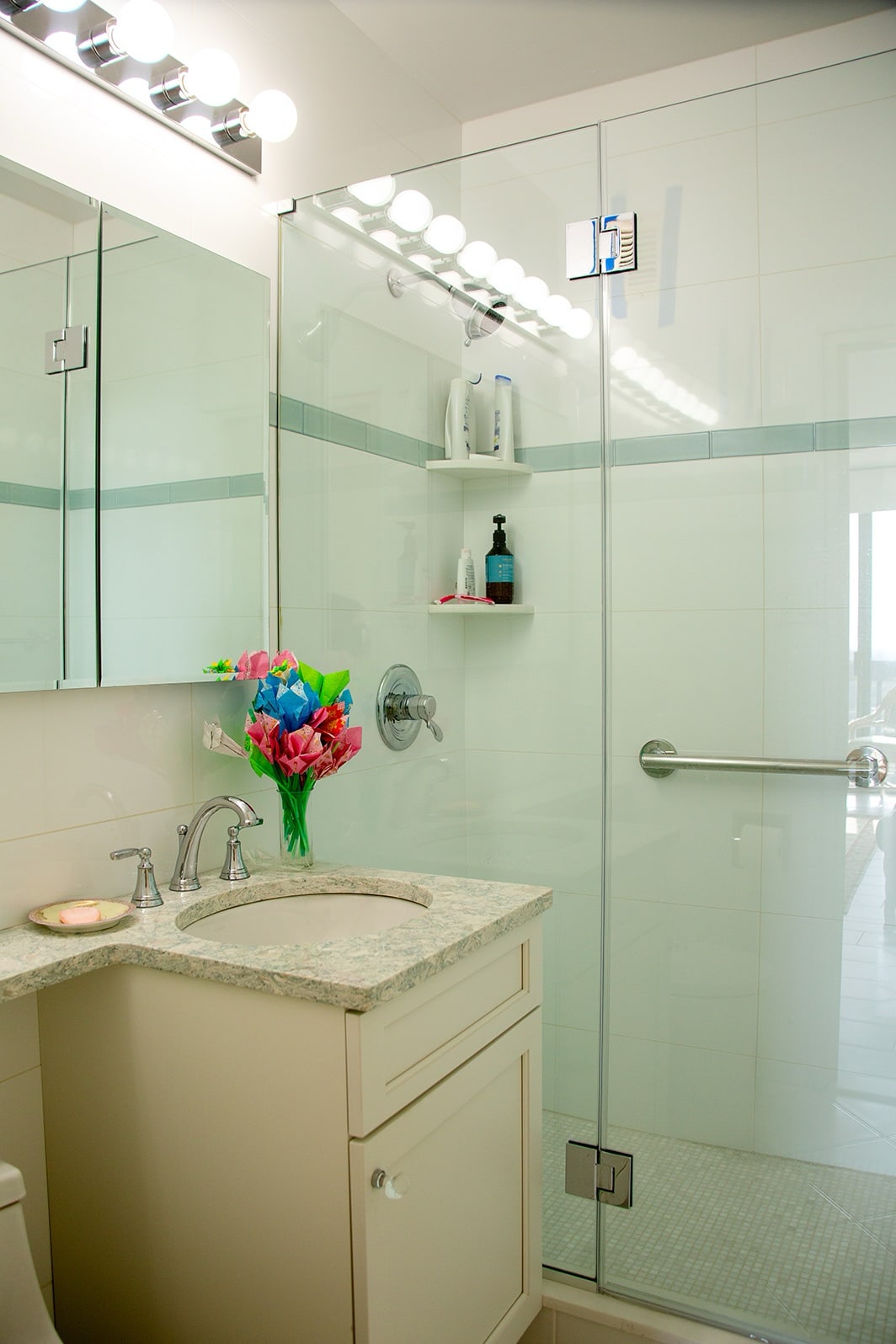 North Shore Towers Apt.