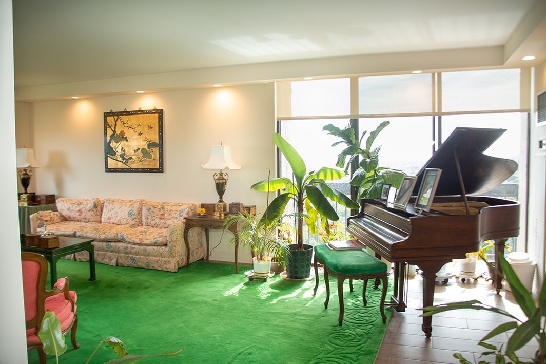 North Shore Towers Apt.