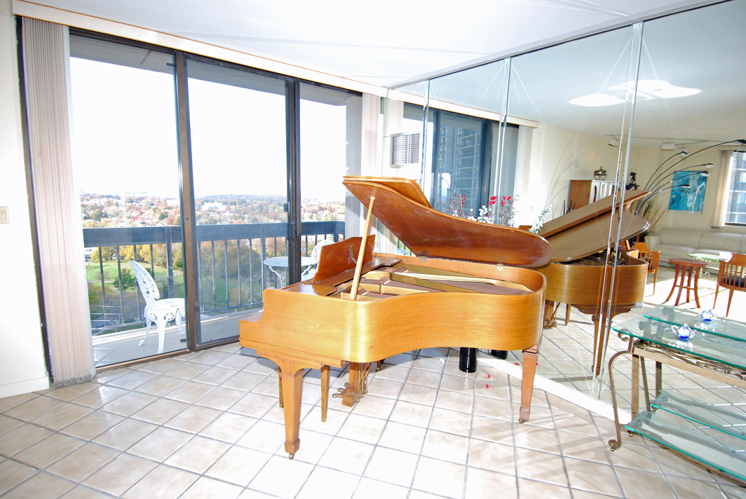 North Shore Towers Apt.