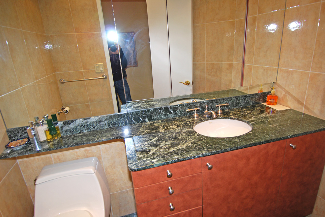 North Shore Towers Apartment