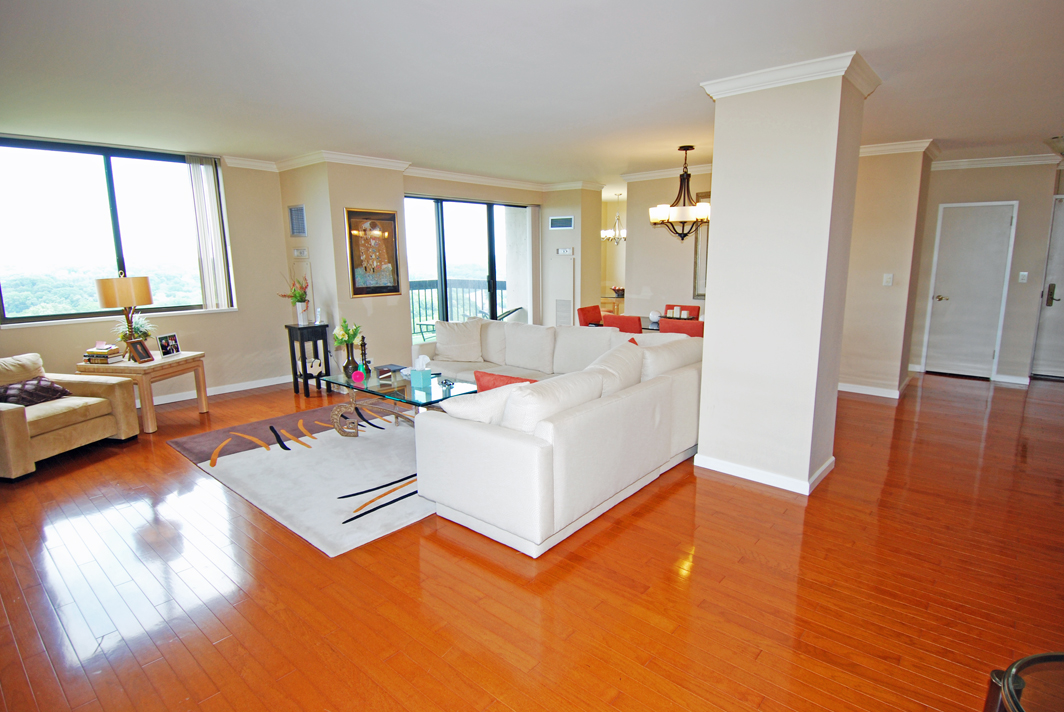 North Shore Towers Apartment