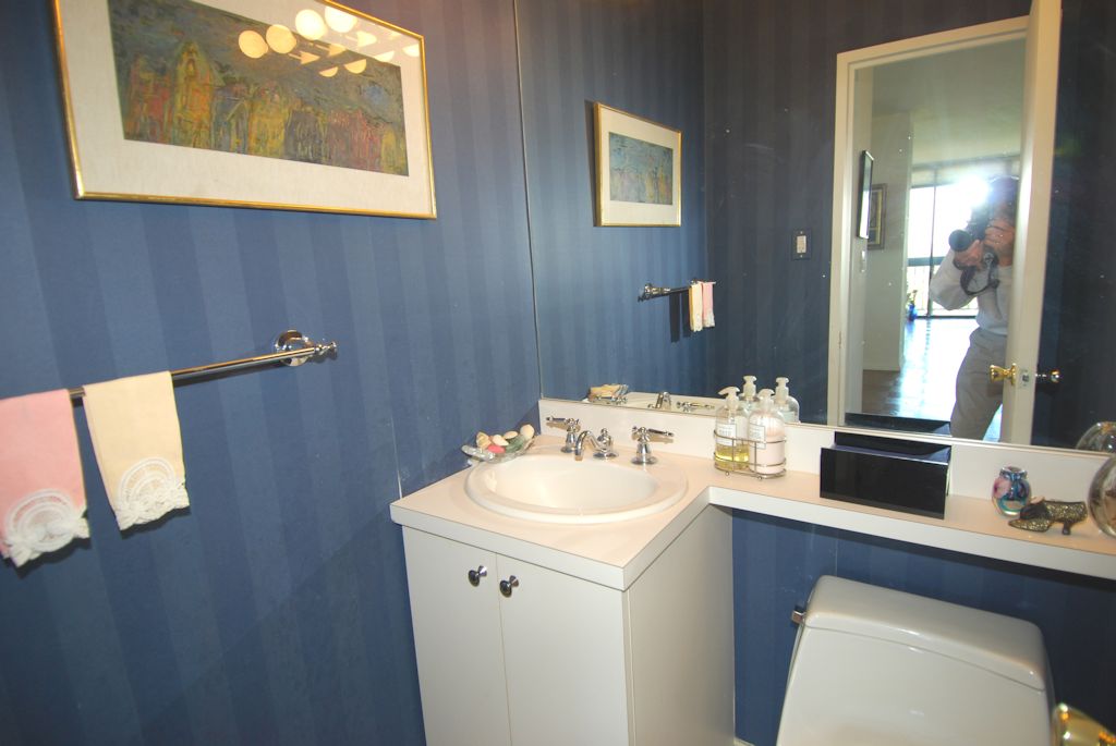 North Shore Towers Apartment