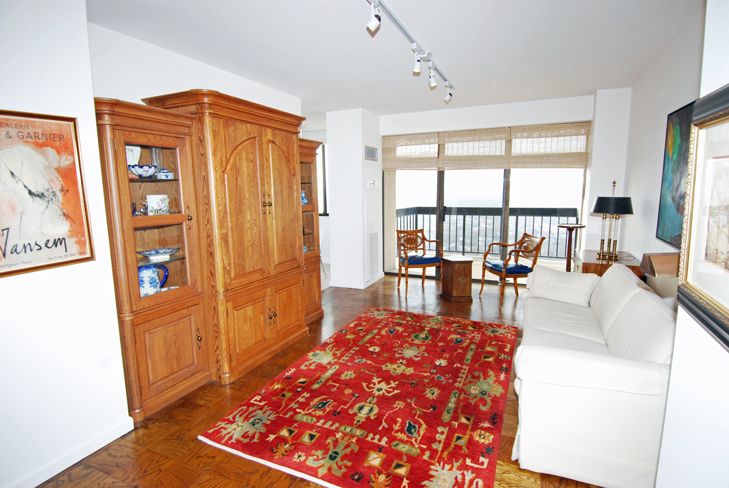 North Shore Towers Apartment