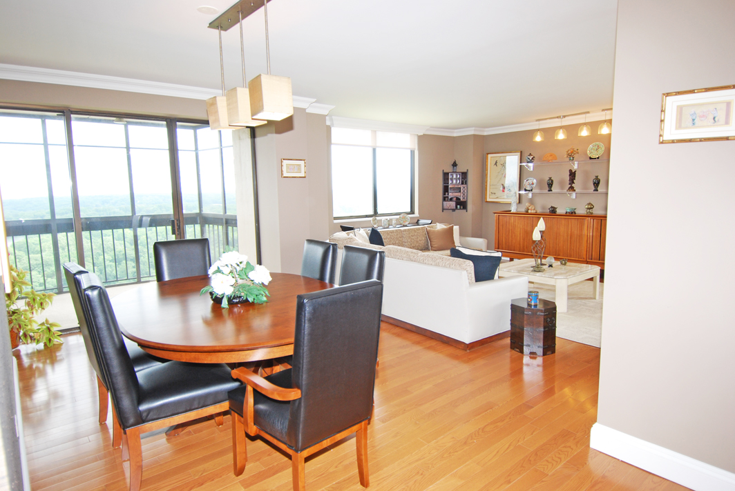 North Shore Towers Apartment