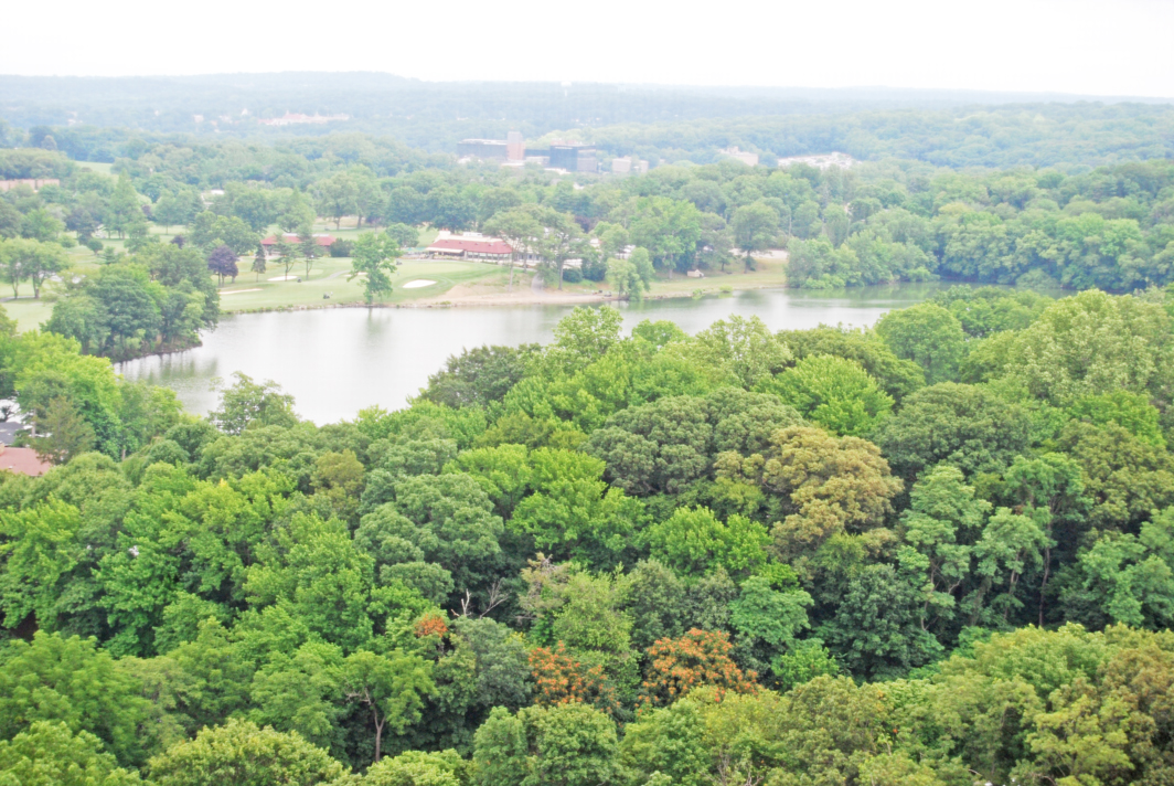 North Shore Towers Apartment