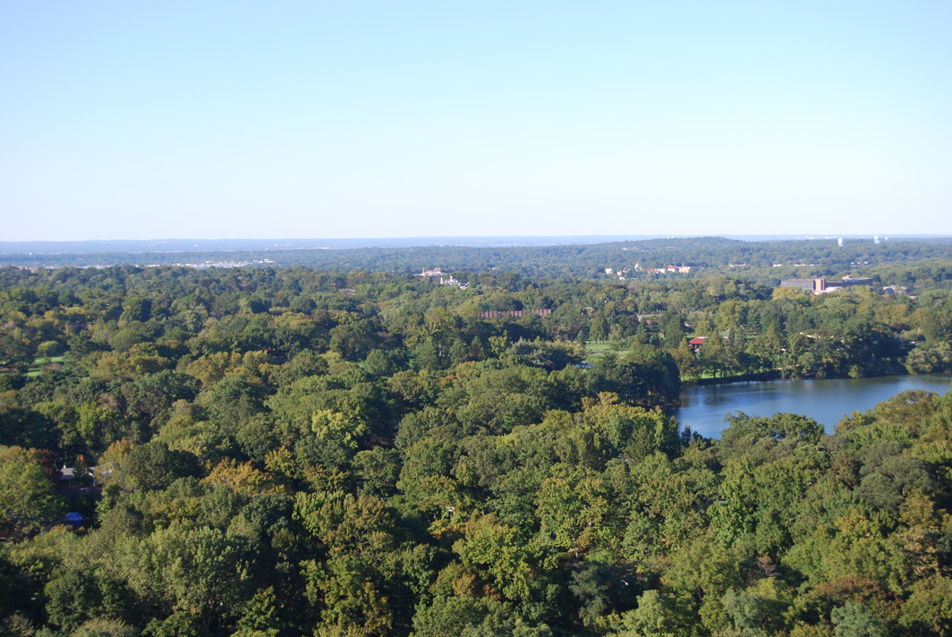 North Shore Towers Apartment
