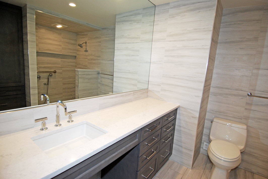 North Shore Towers Apartment