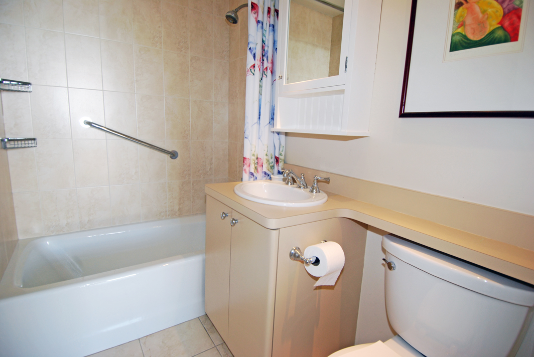 North Shore Towers Apartment