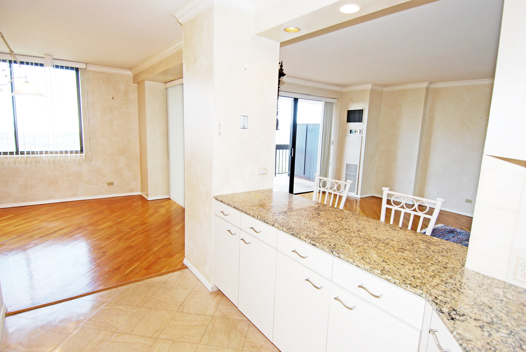 North Shore Towers Apartment