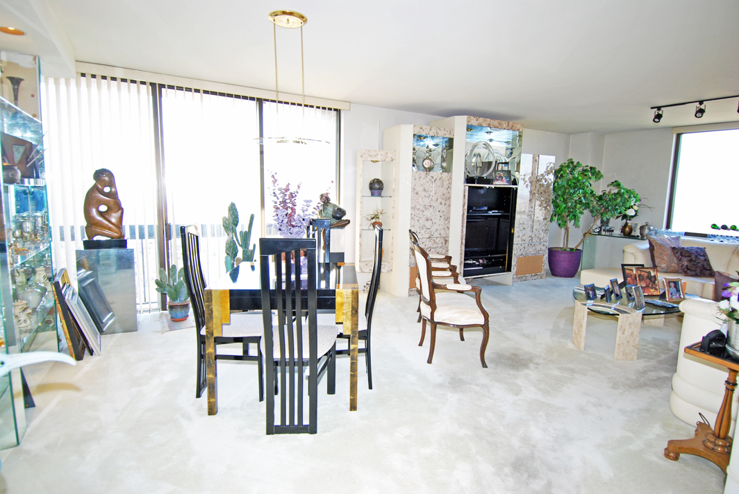 North Shore Towers Apartment