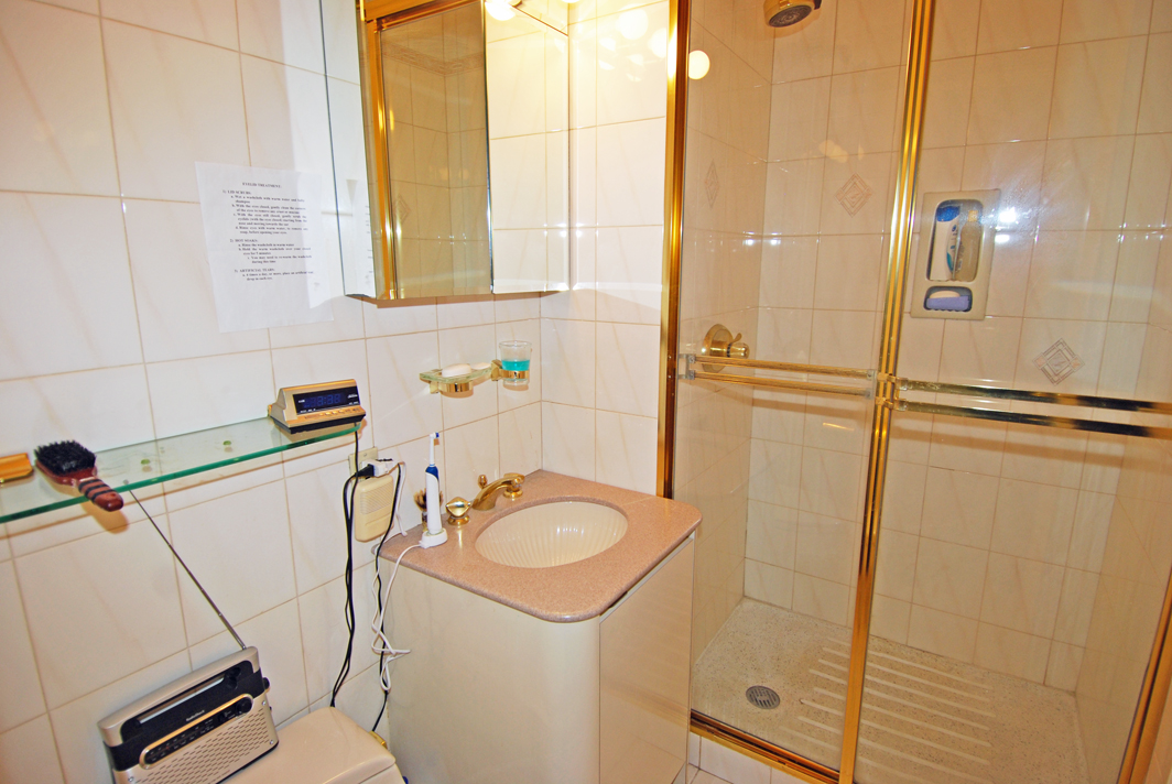 North Shore Towers Apartment