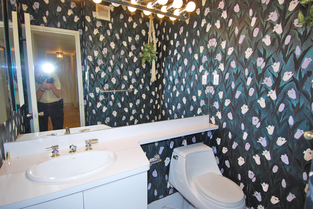 North Shore Towers Apartment