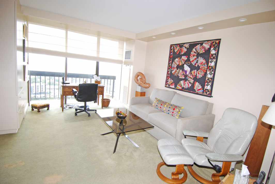 North Shore Towers Apartment