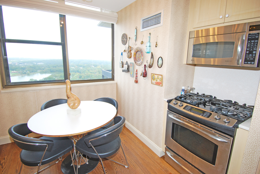 North Shore Towers Apartment