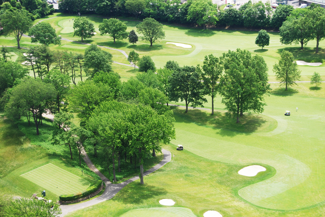 North Shore Towers Apartment