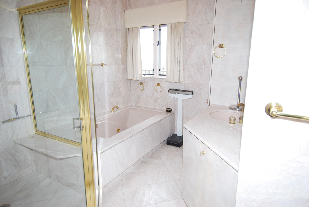 North Shore Towers Penthouse