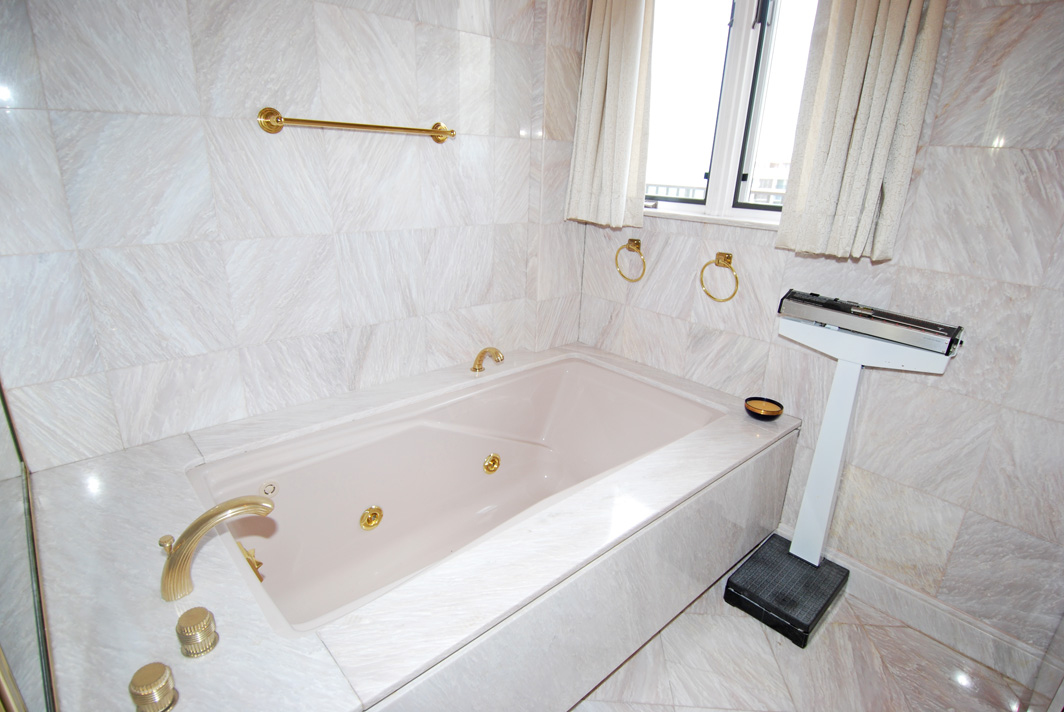 North Shore Towers Penthouse