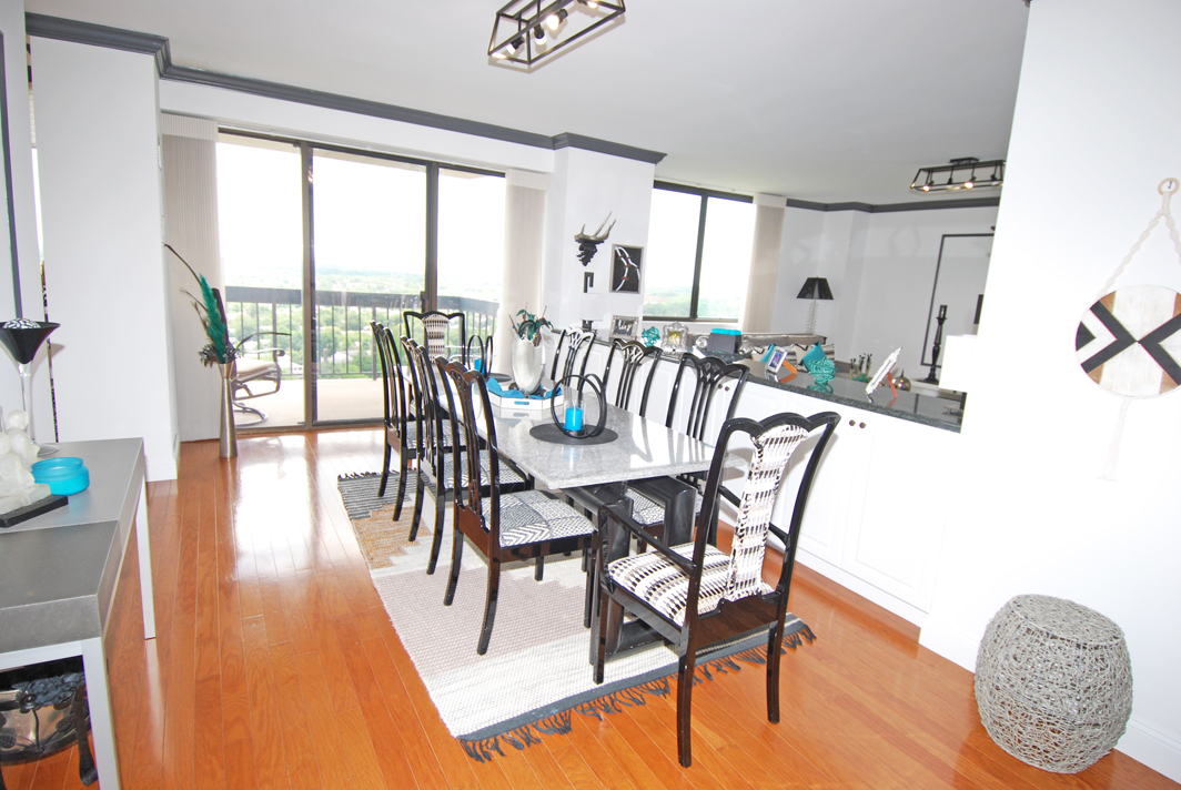 North Shore Towers Apartment