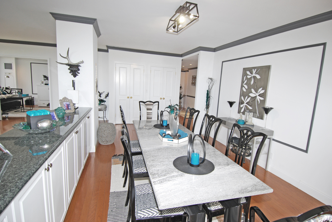 North Shore Towers Apartment