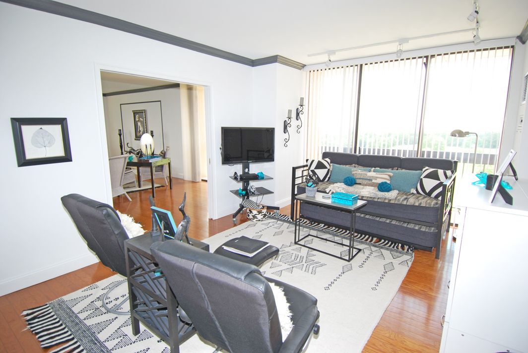 North Shore Towers Apartment